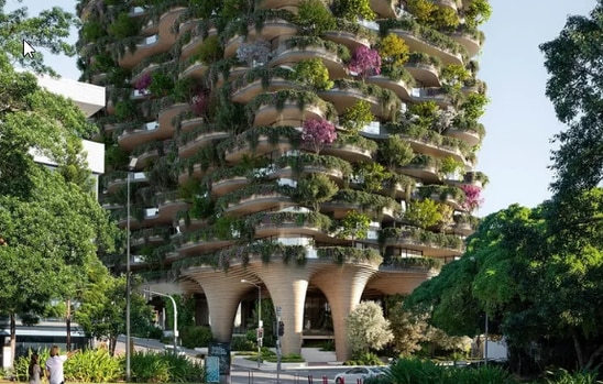 Aria Property Group's Urban Forest development will have 1003 trees.