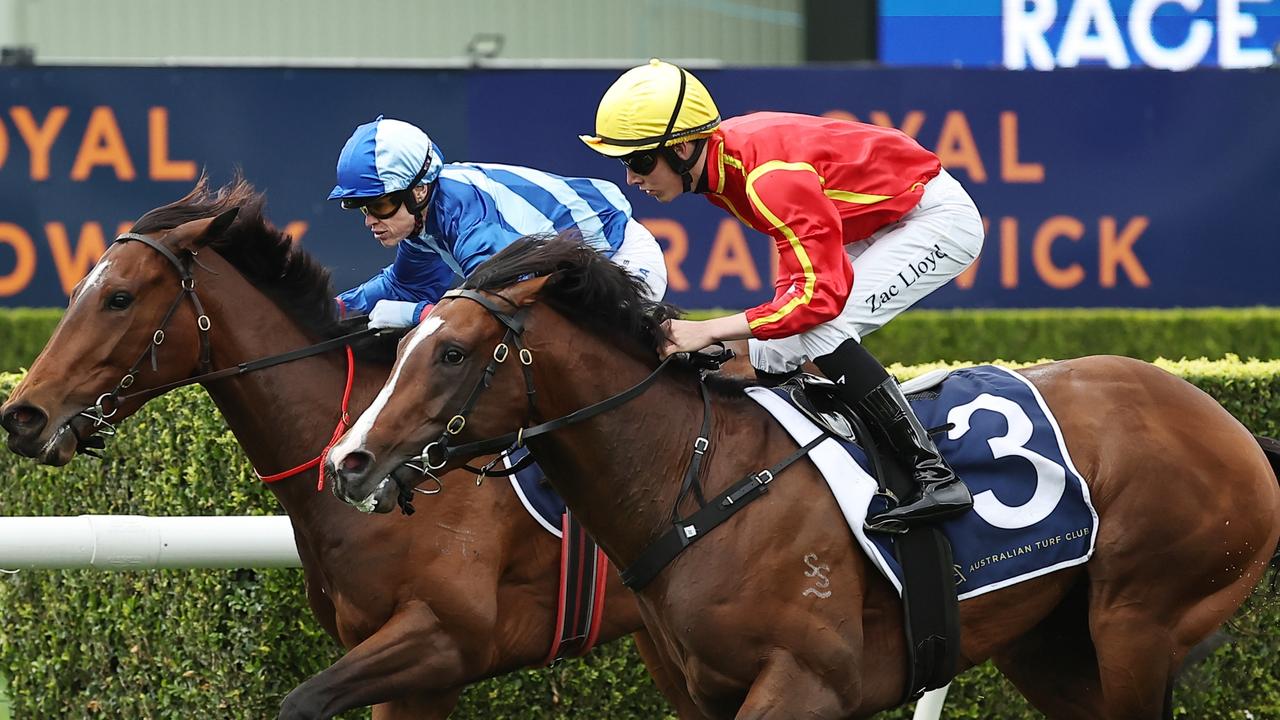 Freedman gets his Big Dance shoes on at Randwick