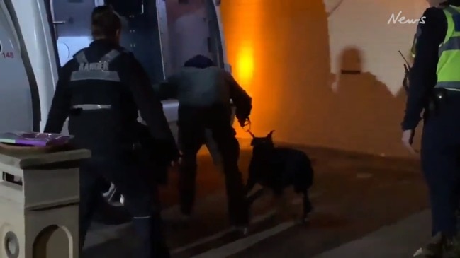 Dog being removed from Cairnlea home