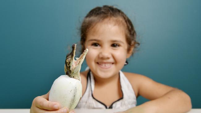 2014: Charlotte Marie Dos Santos-McNeven, 3, helps a baby crocodile crack out of its egg. Picture: Elise Derwin.