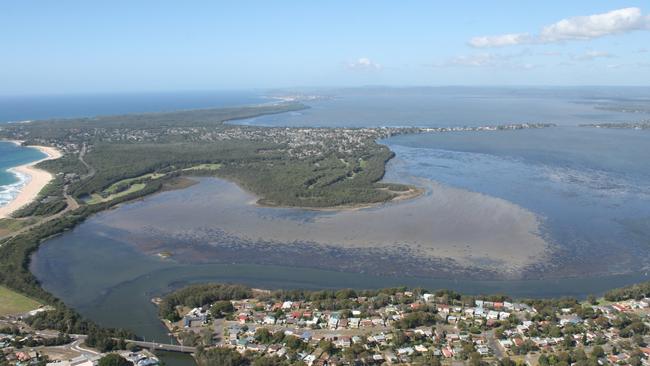 Management of vegetation in waterside reserves is in the spotlight.