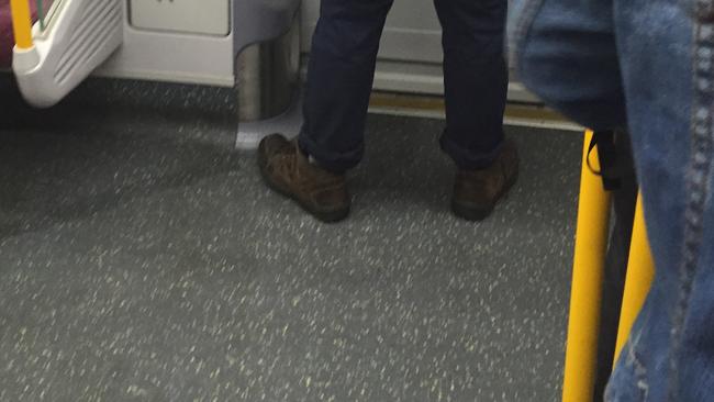 Sydney trains: Man caught urinating in carriage on Northern Line ...