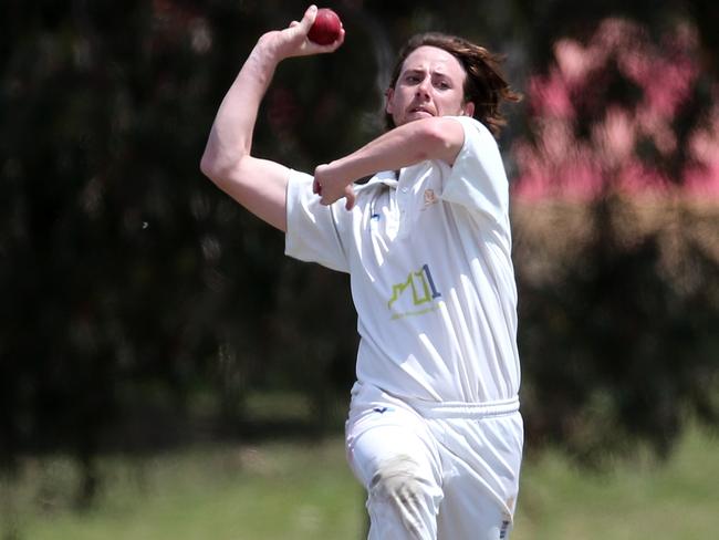 Darcy Brown took five wickets for Mentone.