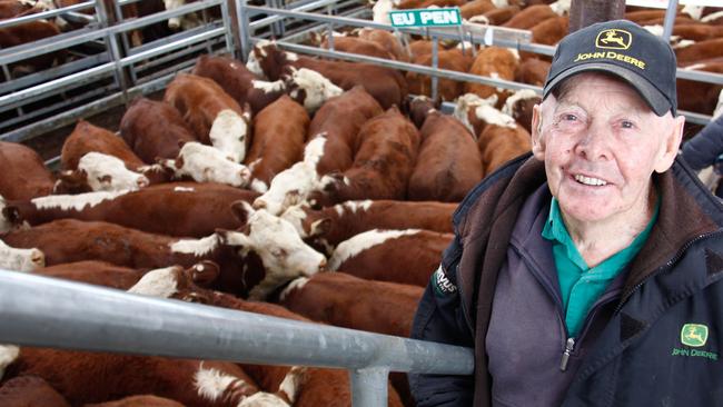 Ian Hermon, Myamyn, paid 552c/kg for this pen of 30 Hereford steers from Giant Rock. Picture: Jenny Kelly