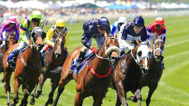 Zoustar won the Coolmore Stud Stakes during his racing career. Picture: Mark Evans