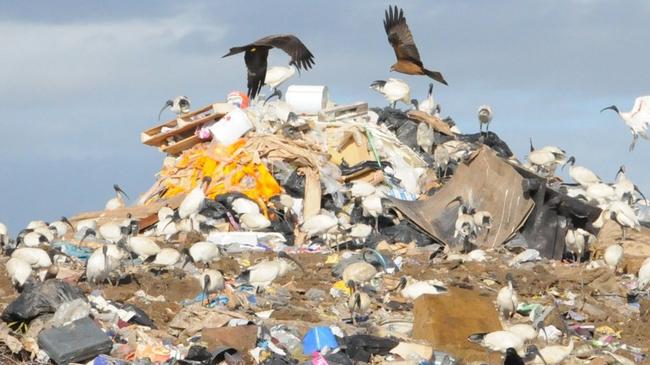A new report put to Gympie Regional Council has given the Bonnick Rd Landfill a three-year lifespan. Before then, big changes are in order.