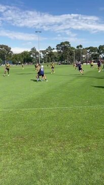 Colby McKercher shows off aggression at North Melbourne pre-season training