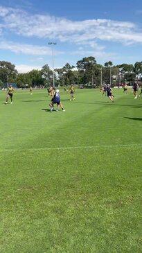 Colby McKercher shows off aggression at North Melbourne pre-season training