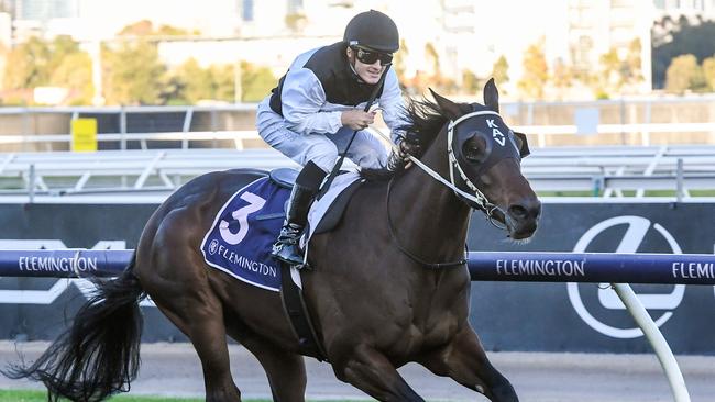 First Immortal can overcome a big weight to score second-up at Caulfield on Saturday. Picture: Racing Photos via Getty Images