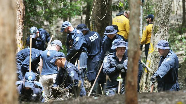 Detectives search for William Tyrrell's remains near Kendall, NSW. Picture: NCA NewsWire / Peter Lorimer