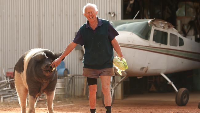 Allen Parsons, with pet pig Busta, on his property outside Crows Nest, 50km north of Toowoomba, on Monday. Picture: Lyndon Mechielsen