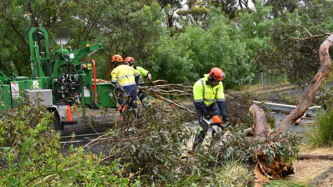 Council workers clearing debris in the wake of Saturday’s storm in Blackwood. Picture: Keryn Stevens