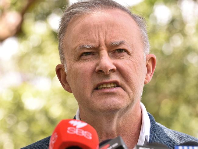 Opposition Leader Anthony Albanese speaks to the media during a press conference in Sydney. Picture: NCA NewsWire / Flavio Brancaleone