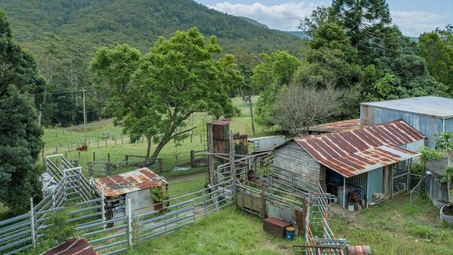 Photos of the future site of the Numinbah Escape eco-tourism attraction. Picture: Supplied