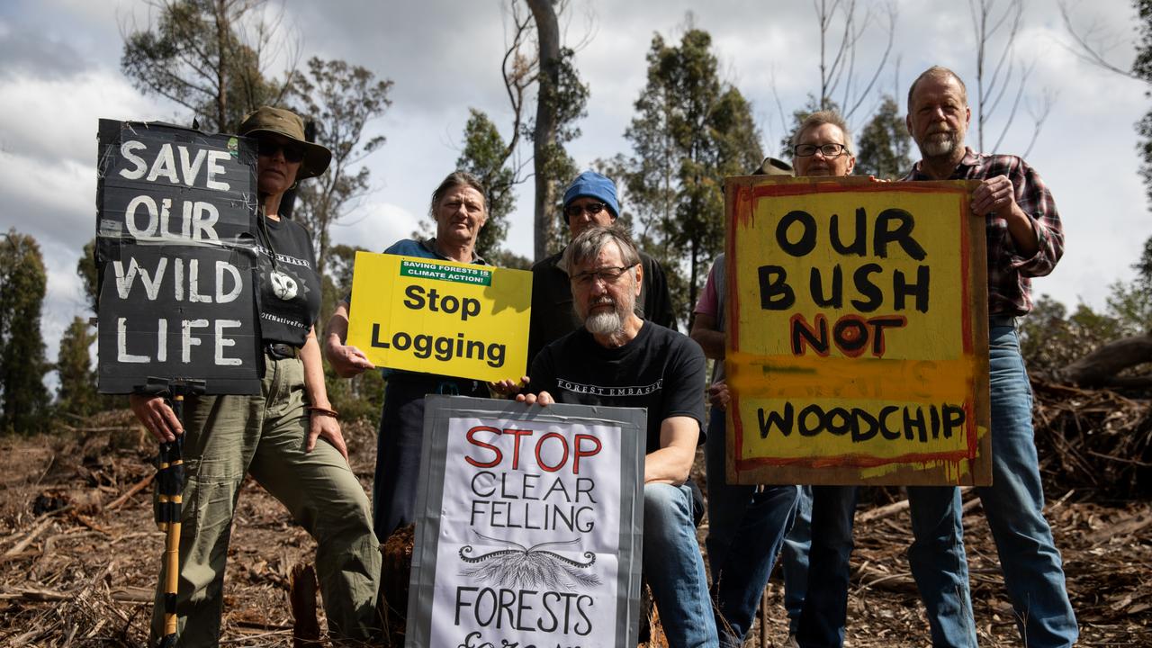 The group have campaigned to stop local logging, including at Shallow Crossing. Picture: Nathan Schmidt