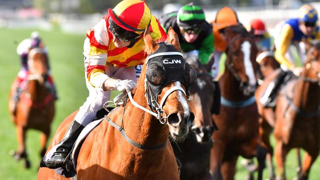 Overstep had specking late in betting and saluted at Flemington.