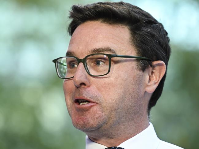 Nationals leader David Littleproud. Picture: NewsWire/Martin Ollman
