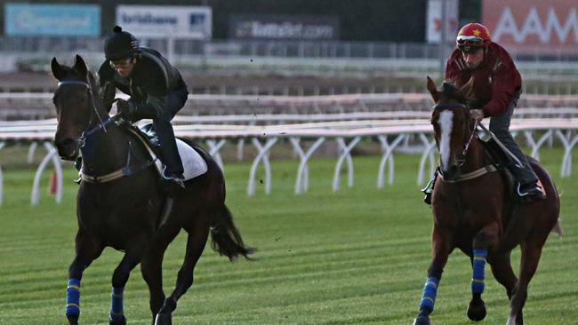 Kerrin McEvoy, left, puts Dawnie Perfect through her paces at Eagle Farm on Tuesday. Picture: Annette Dew