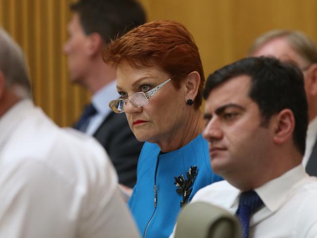 One Nation Senator Pauline Hanson and Labor Senator Sam Dastyari are also involved in the hearing. Picture: Kym Smith