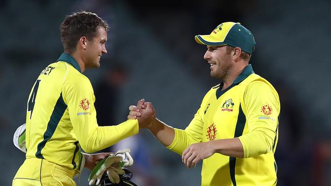 Finchnhas grown into the role of ODI captain. Photo by Ryan Pierse/Getty Images.