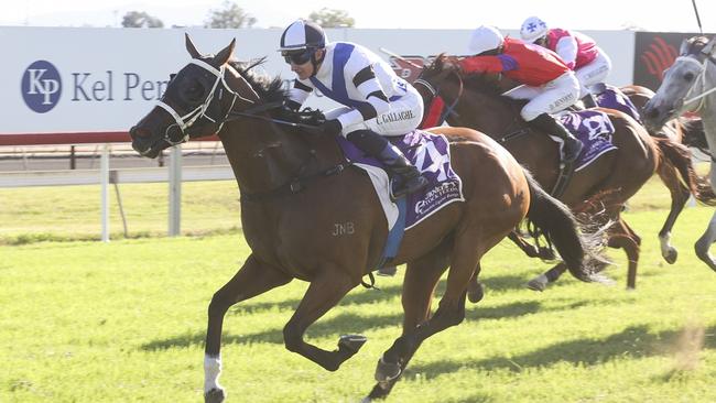 Takanakuy can add to his impressive record when he heads to Dubbo on Friday. Picture: Bradley Photos