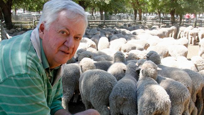 Landmark Finley agent Peter Mills, with the Merino wether lambs which topped at $142 at Deniliquin store sheep sale last week.