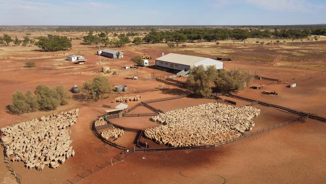 Spanning several states and properties, Paroo Pastoral is working on monetising a carbon farming project. Picture: Supplied.