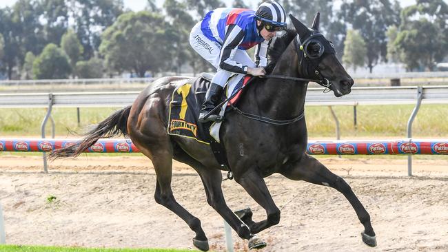 Empressive Enuff could improve with a softer run when he backs up at Sandown on Saturday. Picture: Racing Photos via Getty Images