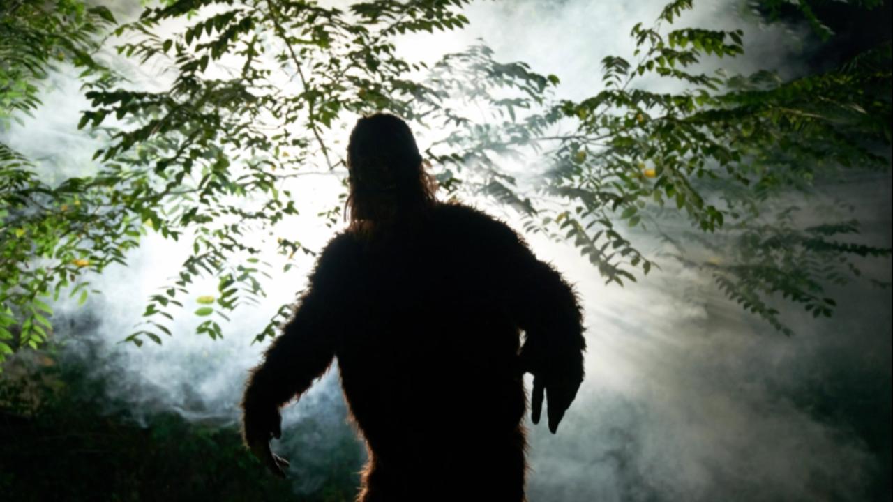 The mystery of Bigfoot has been causing a stir for hundreds of years. Picture: Getty