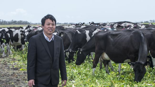 Mr Lu Xianfeng of Moon Lake Investments. Picture: Chris Crerar