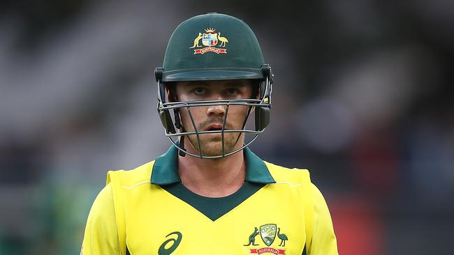 Travis Head of Australia. Photo by Ryan Pierse/Getty Images