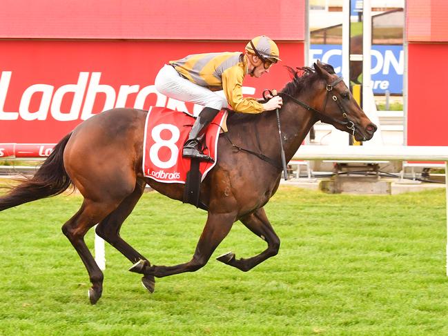 Smart mare Nokhbah could again prove too quick for her rivals when she resumes at The Valley on Friday night. Picture: Racing Photos via Getty Images.