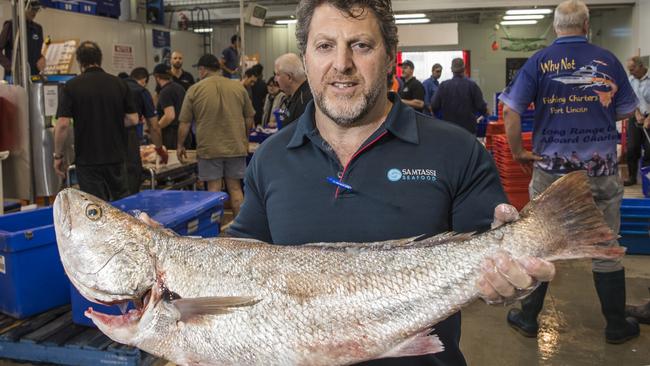 Michael Andonas, director of Samtass with a mulloway at the Safcol Central Fish Markets. Picture: Simon Cross