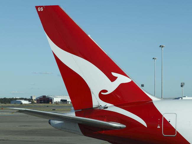 Qantas has expressed sympathies to both bereaved owners.