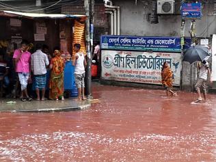 Rivers of blood flow in city’s streets