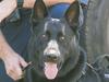 Inside the police unit tracking offenders through all terrain