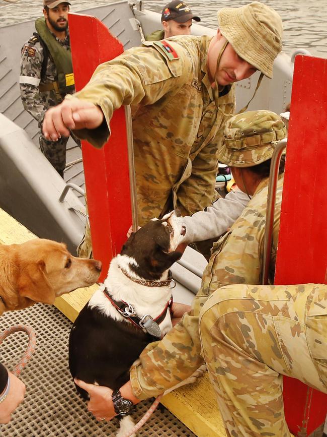 Some were less than keen to get on the boat. Picture: David Caird