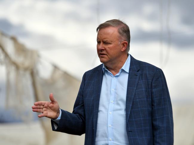 Leader of the Opposition Anthony Albanese looks at the bushfire affected apple orchards of Woodburn Orchards on the outskirts of Batlow, 440km south west of Sydney, Tuesday, May 19, 2020. (AAP Image/Mick Tsikas) NO ARCHIVING