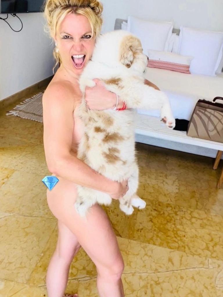 Britney Spears raises eyebrows after posing naked with her dog | Daily  Telegraph