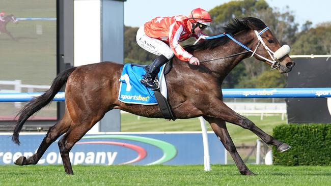 Former Kiwi Desert Lightning looms as a great chance to post his second Group 1 win in the Toorak Handicap. Picture: Racing Photos via Getty Images