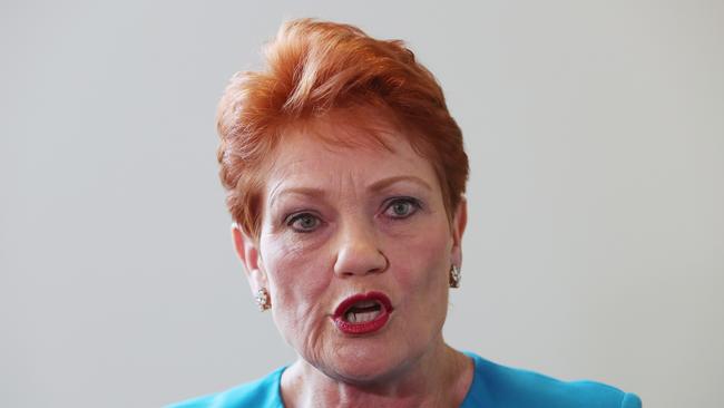 Senator Pauline Hanson at Parliament House in Canberra. Picture: Kim Smith