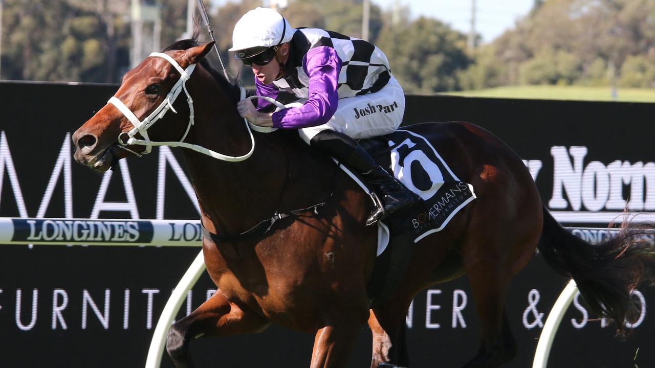 Promising colt Osipenko can kick off his autumn campaign with a win in the Eskio Prince Stakes. Picture: Grant Guy