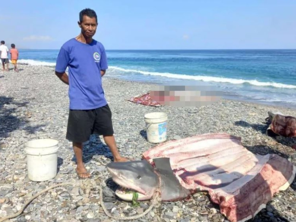 The woman's body was found by a fisherman inside a shark. Credit: Asia Pacific Press via ViralPress