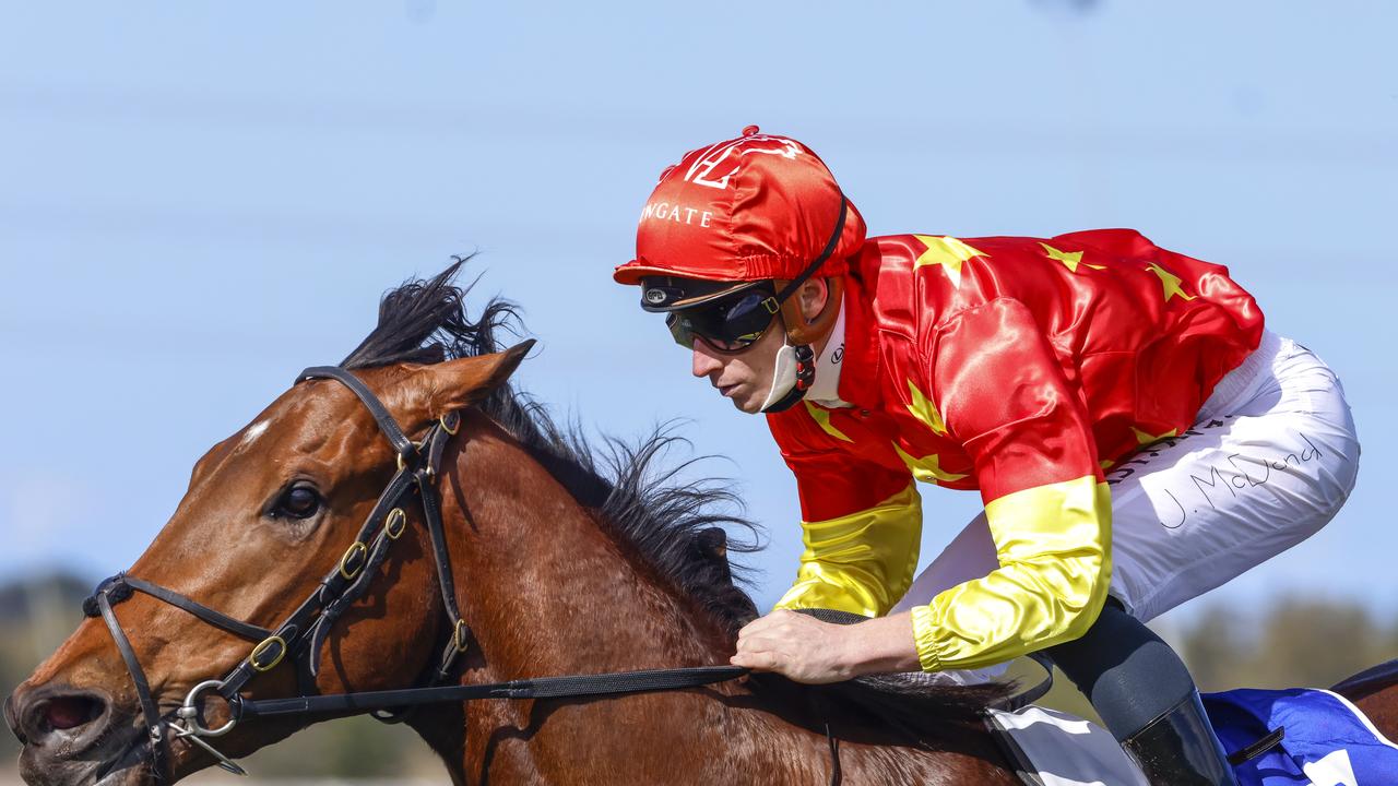 King Of Sparta won the 2022 Magic Millions 3YO Guineas. (Photo by Mark Evans/Getty Images)
