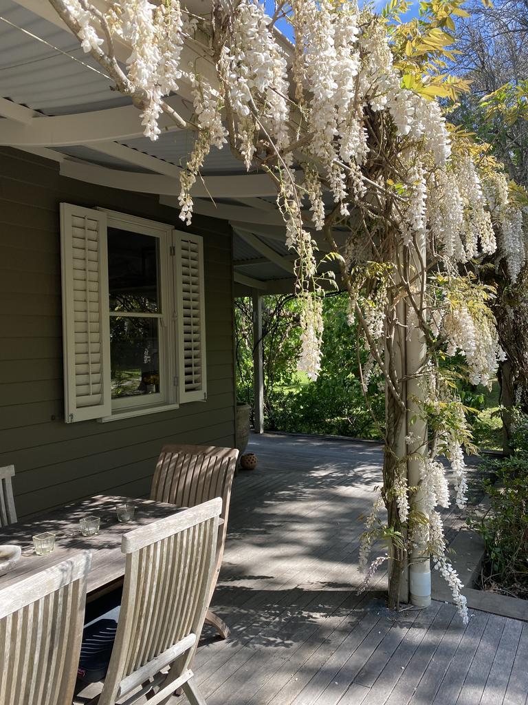 The home is covered in white wisteria.