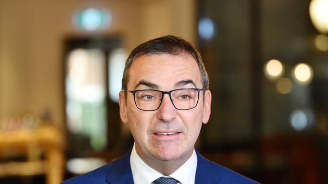 South Australian Premier Steven Marshall. Picture: AAP