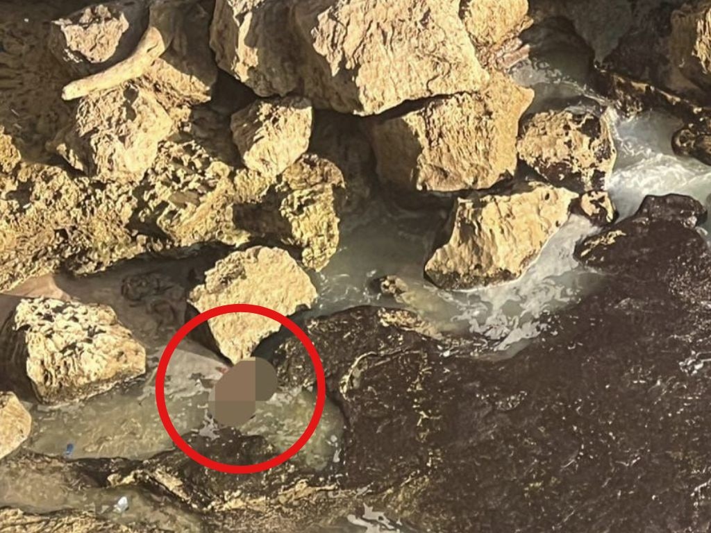 A tourist took a photo of a cliff in Uluwatu and made the shocking discovery of what she'd snapped while reviewing her images.