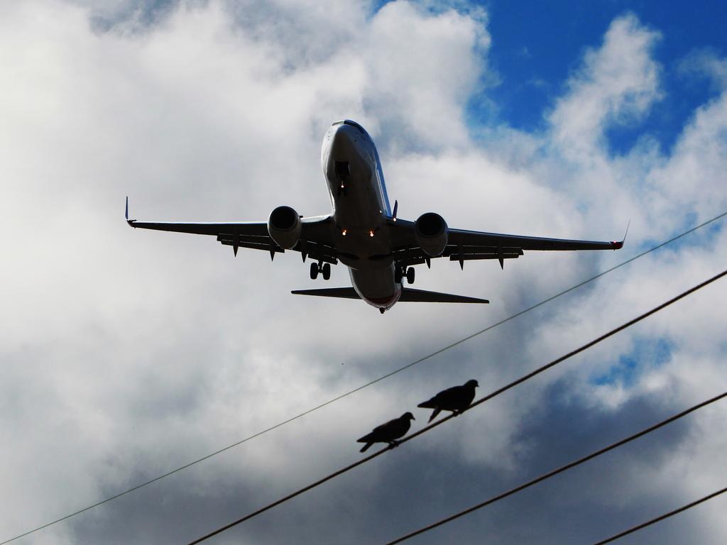 Flight paths are unlikely to be the only consideration of most home buyers.