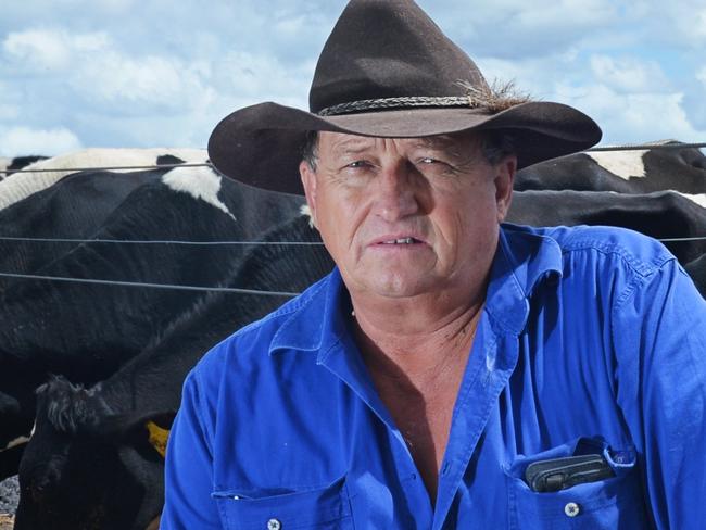 Kenilworth Dairies boss fined for cow cruelty over cattle prod ‘accident’