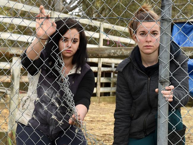Fairview Lodge animal rescue staff Alierah Foley and Caitlin Bryant with the hole in the fence. Picture: Roger Wyman